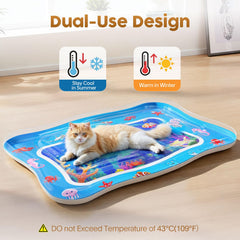 Catpick joy floating fish pattern attracts a curious cat with gentle motion.