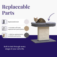 Catry Mellow tool-free-assembly highlights quick setup without tools.
