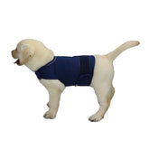 Cattamao Comfort dog anxiety coat close-up back massage promotes calm during stressful moments