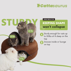 Cattasaurus Peekaboo Cat Cave detachable tunnel bed for easy cleaning
