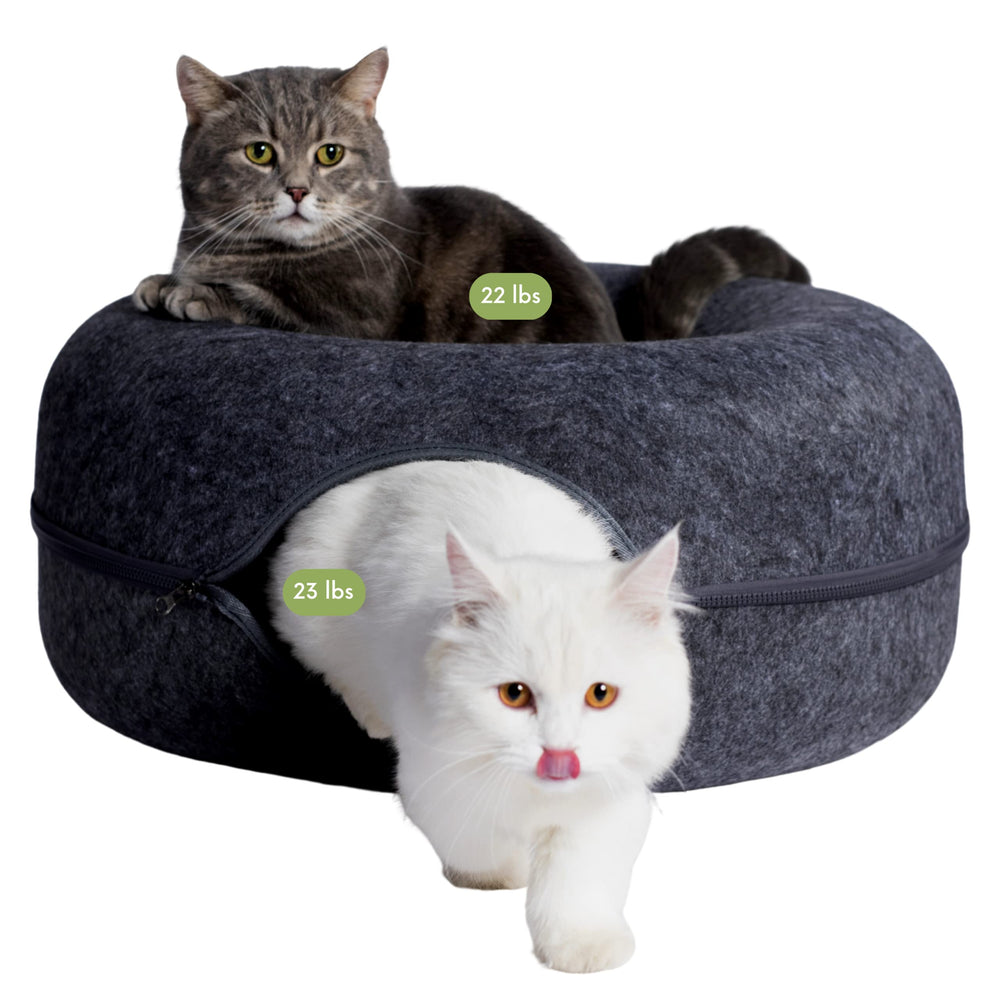Cattasaurus Peekaboo cat cave donut bed top view for relaxing large cats.