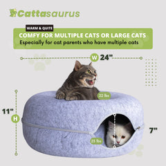 Cattasaurus Peekaboo cat cave peephole view shows interactive peek-and-hide fun