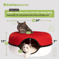 Cattasaurus Peekaboo peephole window highlights gentle owner-cat interaction during curious play