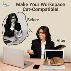 Cattop cat laptop toy is lightweight and portable for easy room-to-room setup.