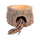 CAVACHEW tree-hide cave sits in a terrarium offering a secure retreat for small reptiles.