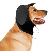 CC & DD Junora dog ear muffs worn as a winter headband for warmth and noise protection
