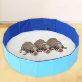 Cdycam portable dog birthing pool 32x8 offers a safe whelping or cooling space.