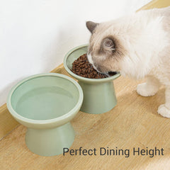 CEEFU ceramic cat bowls close-up highlighting durable material