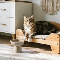 CEEFU modern ceramic cat bowl on dining table highlighting durable, lead-free design.