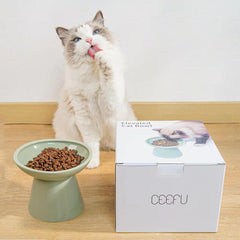 CEEFU sage green cat bowl close-up on modern feed space