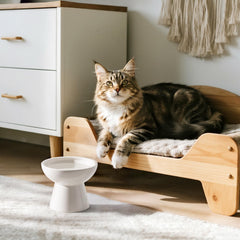 CEEFU white ceramic elevated bowl, whisker-friendly depth helps cats reach water