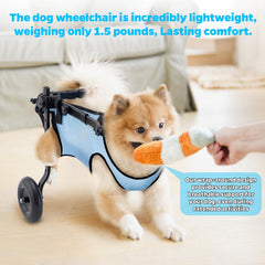 Celestaura dog wheelchair lightweight design easy to transport