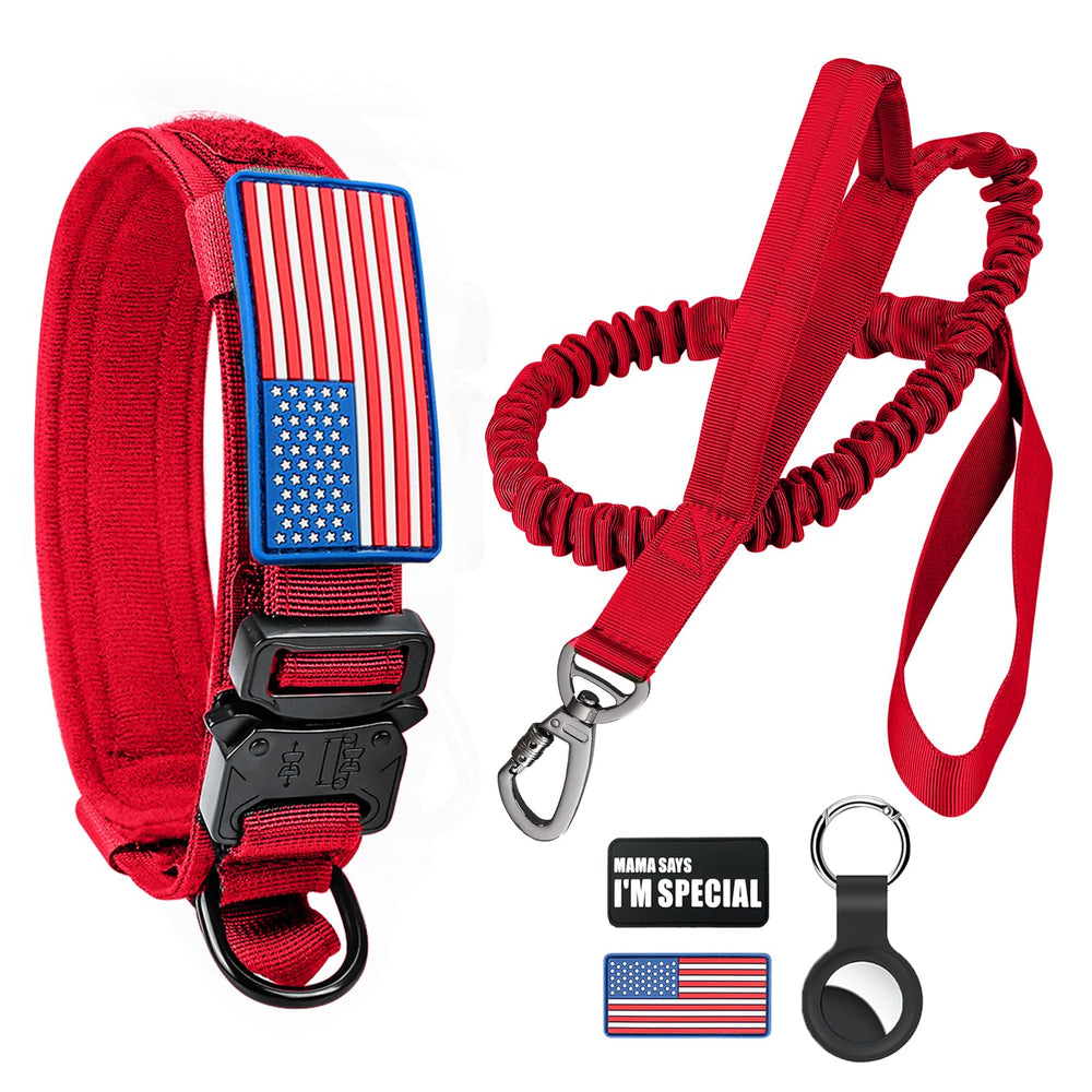 Celifelight tactical collar buckle closeup highlights durable zinc alloy hardware for secure control.