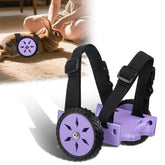 CeoNic adjustable Holland Lop wheelchair frame close-up showing secure fit for small rabbits.