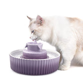 Cepheus cat fountain ceramic body with 360-degree streams for fresh hydration