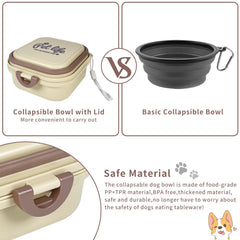Cermug collapsible dog bowl travel setup ideal for camping.