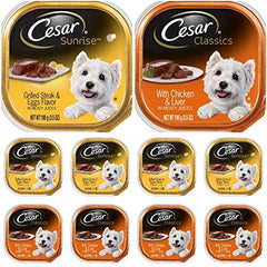 Cesar Wet Dog Food Breakfast Dinner Bundle 10-pack offers grain-free meals for variety