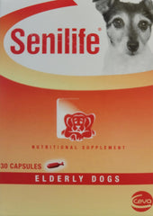 Ceva Senilife elderly dog with a calm expression suggests mood support.