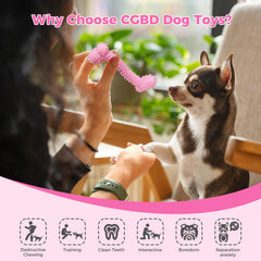 CGBD puppy toys uneven surface to clean teeth during chew sessions