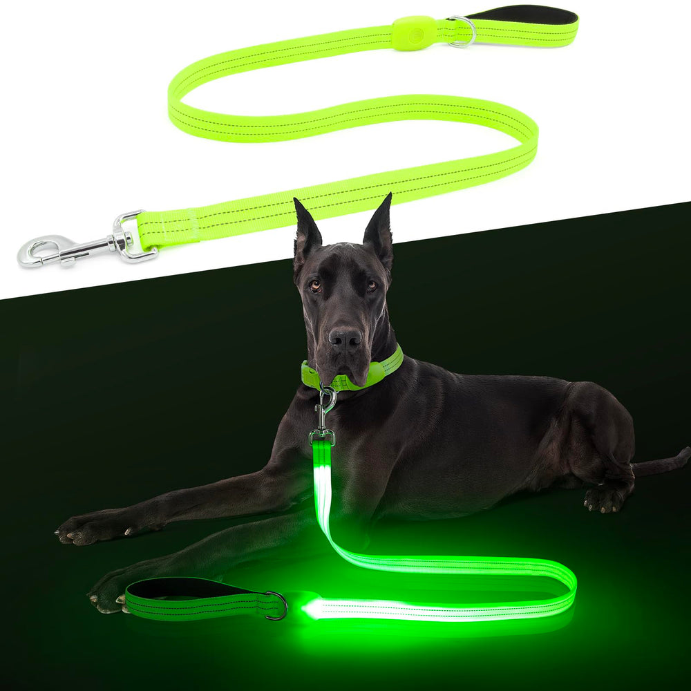 ChalkLit correa iluminada para perros, mango acolchado nocturno para paseos cómodos.
