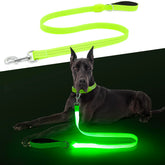 ChalkLit correa iluminada para perros, mango acolchado nocturno para paseos cómodos.