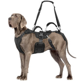 ChalkLit Dog Lift Harness full-body view showing secure vest and harness fit for lifting