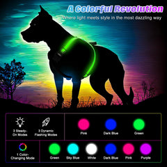 ChalkLit LED dog harness back view highlights reflective trim for day and night visibility.