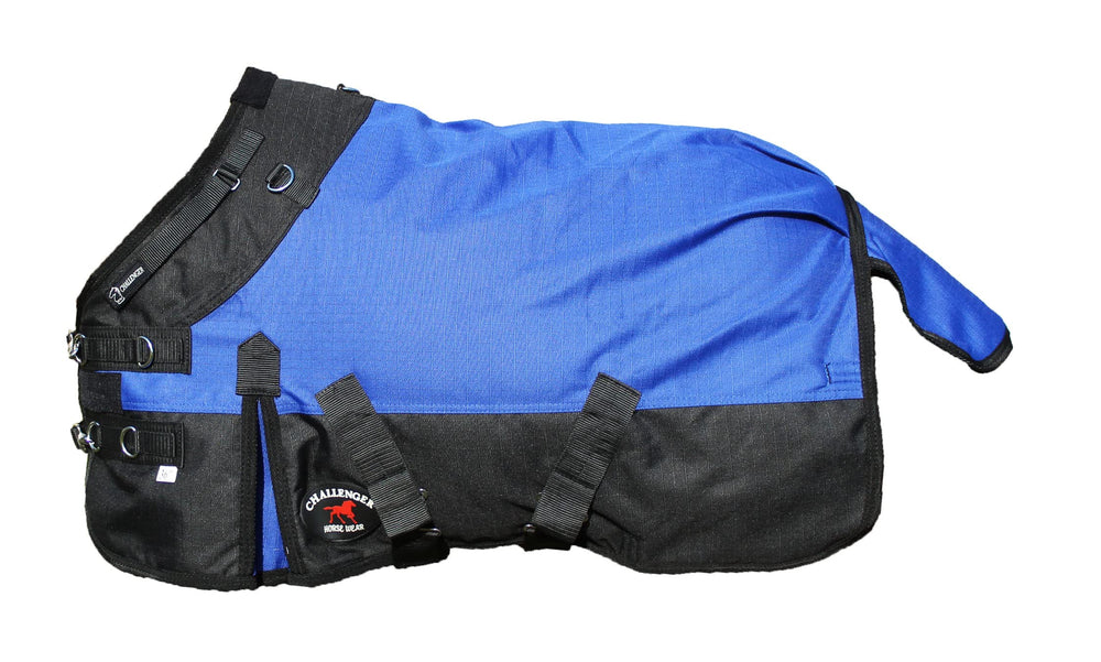 Challenger 58-inch foal blanket worn on a foal for warm, dry turnout