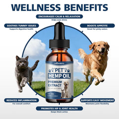 CHANUBITO hemp oil drops in meals — simple mix-in for meals