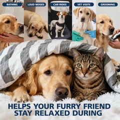 CHANUBITO Pets Hemp Oil dropper-cap ready for easy mouth administration.