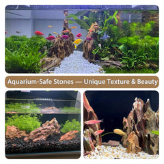 ChaoLeHo Dragon Stones terrarium setup shows natural caves and climbs.