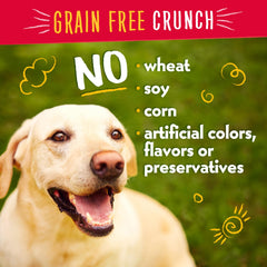 Charlee Bear bacon blueberry visual emphasizes savory flavor and snack versatility.