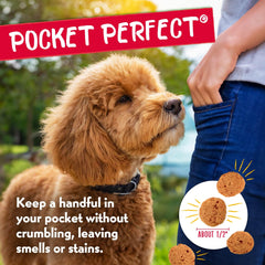 Charlee Bear turkey sweet potato cranberry flavor shot suggests tasty, hypoallergenic options.