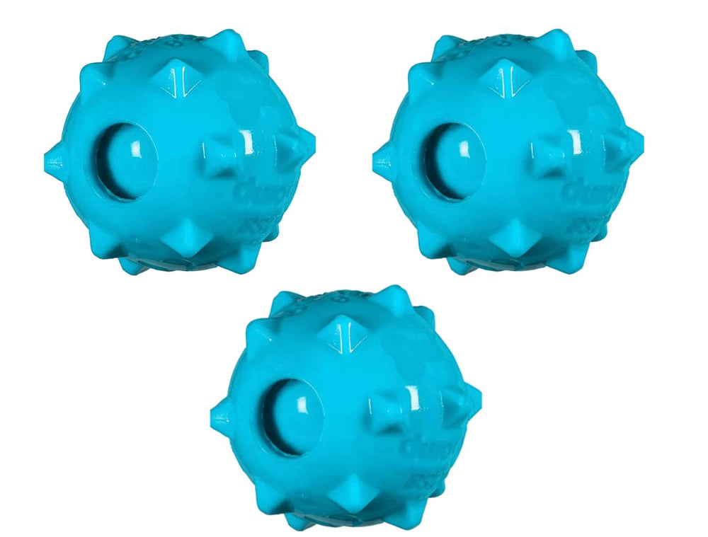 Chase 'n Chomp squeaker ball toy with Knobble 3 Pack for interactive play and chew satisfaction