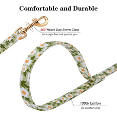 Chede No Pull floral harness worn on a small dog during outdoor stroll.
