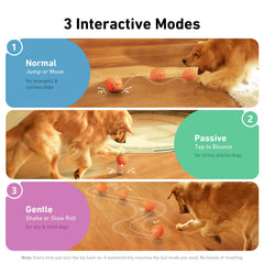 Cheerble Wicked Ball AIR 3.2-inch diameter framed for medium-to-large dogs for engaging play.