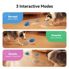 Cheerble Wicked Rugby toy rolling for indoor or outdoor fun and exercise