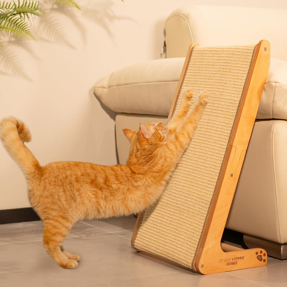 CHEERHOME PETS sisal scratcher ramp vertical setup shows space-saving climbing for indoor cats