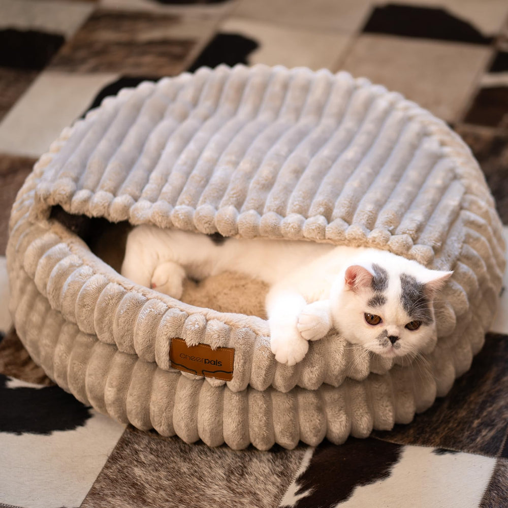 CHEERPALS cat bed round cushion close-up with plush fabric for comfort.