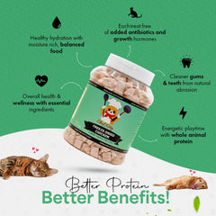 Chef Kitty freeze-dried chicken treat cat eating illustrates a high-protein snack.
