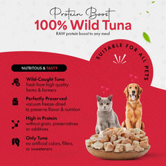 Chef Kitty tuna treats being rehydrated for softer texture demonstration.