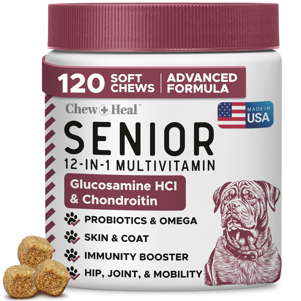 Chew + Heal Labs 12in1 senior dog soft chews packaging highlights a convenient daily mobility routine.