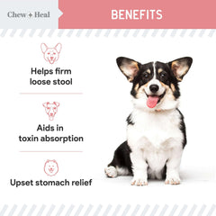 Chew + Heal Labs anti-diarrhea liquid bottle pouring into food.