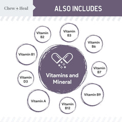 Chew + Heal Labs green-lipped mussels feature image suggests omega-rich nutrition for joints.