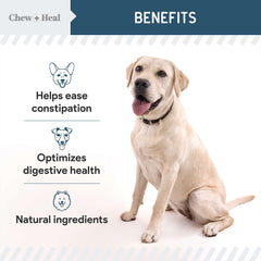 Close-up of Chew + Heal Labs probiotic bottle and chews.
