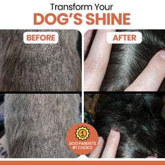 Chew + Heal Labs Salmon Oil supports digestive comfort with prebiotics and enzymes