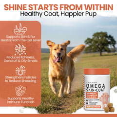 Chew + Heal Labs Salmon Oil skin and coat gloss enhances shiny fur and healthy look