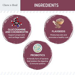 Chew + Heal Labs senior dog soft chews closeup shows palatable texture for easy dosing.