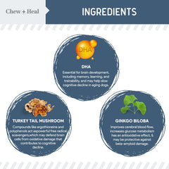 Chew + Heal Labs senior dog vision chews serving pouch highlights cognitive and memory-friendly nutrition.