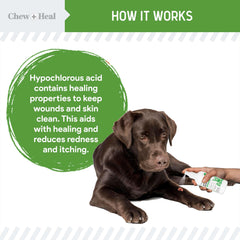 Chew + Heal Labs aplicación rápida en piel canina, uso práctico